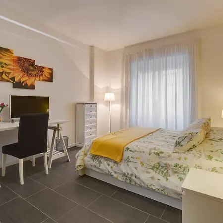 Av Domus Vatican St.peter B&B 로마